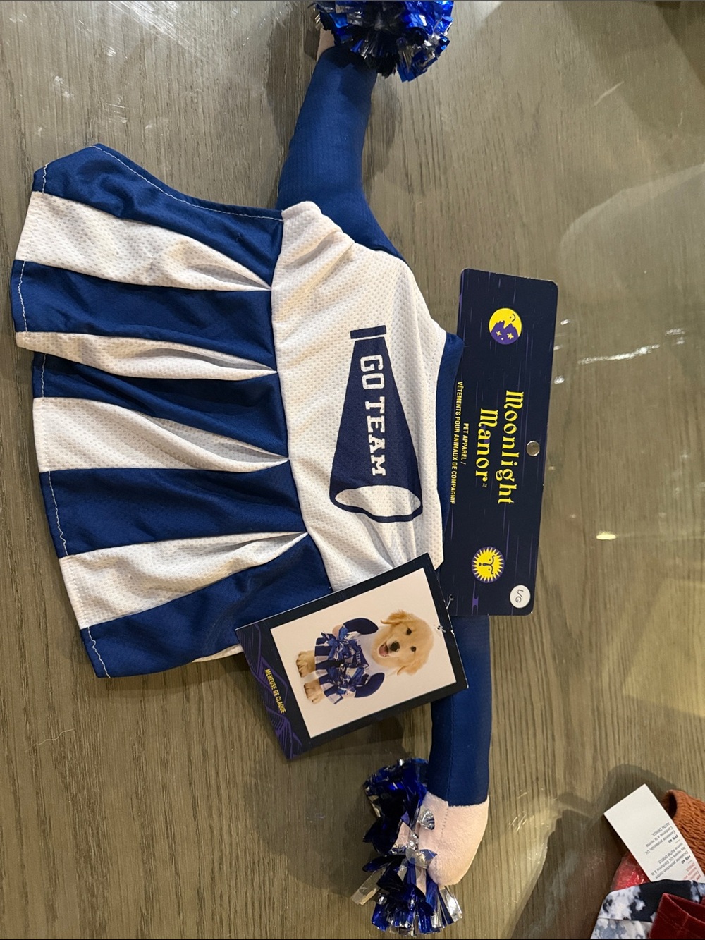 Blue & White 'Go Team' Pet Cheerleader Costume